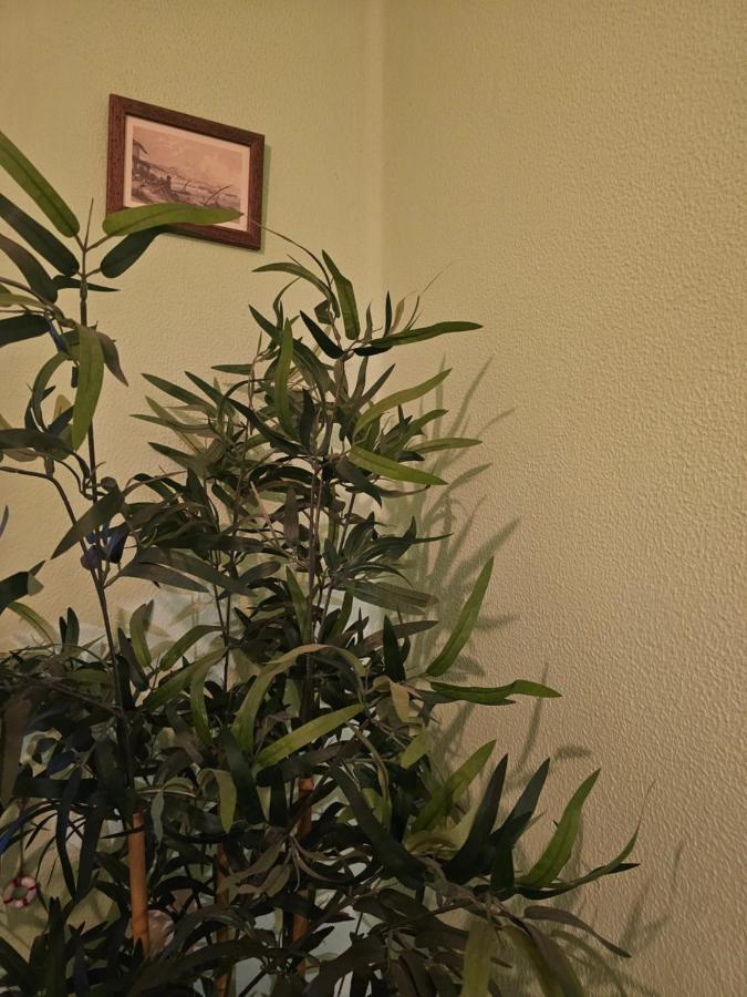 Habitacion Amplia Y Centrica En Piso Compartido Ла-Корунья Экстерьер фото